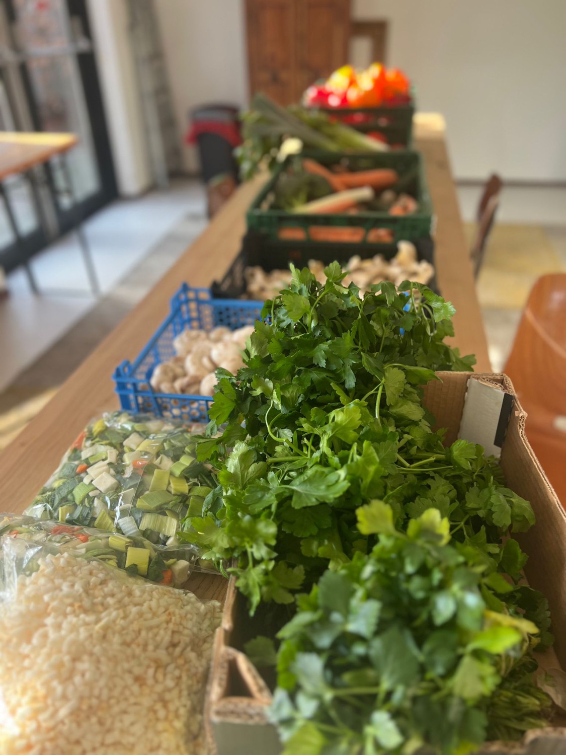 Burgerschap - Springplank Opstart 040